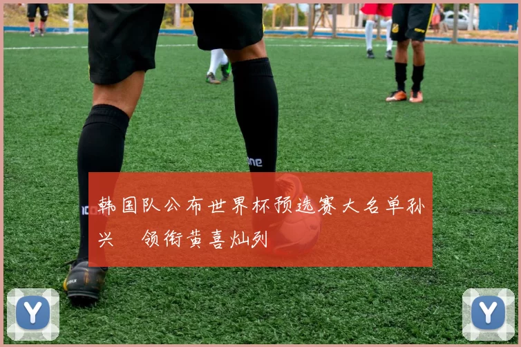 韩国队公布世界杯预选赛大名单孙兴慜领衔黄喜灿列